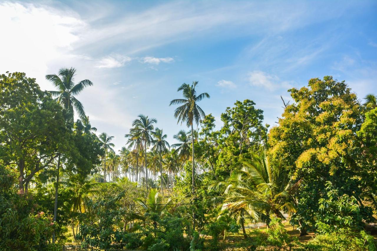 Janu Homestay Tangalle Ngoại thất bức ảnh